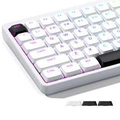 XVX 低シャフト高さ PBT 素材は半透明文字/不透明キーキャップ 127 キー小型コンプリートセットクロスボーダーヨーロッパ
