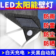 tڟˮ̨led^ͥԺڟ