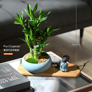 ���F����ؔ�����k���ҾGֲ�҃���ꎲ����߾Gֲ���B�ļ�ֲ���Ĳ���