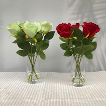 (���ƿ�)���ϰ��͑�Ҫ����滨�N��ˮ��ˇ�ߙn��ƿˇ���滨��ƿ��