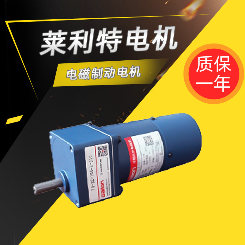 Rileyte Speed Motor 70-15W Electromagnetic Brake Motor Motor Small Motor Factory Direct Supply
