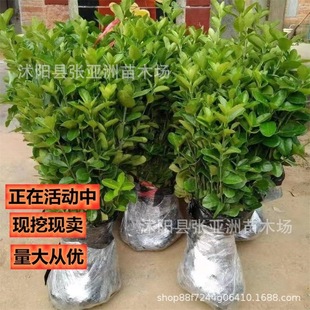 ����������~�S��С�� ������ ͥԺ�G�h�����h�����ļ���G������