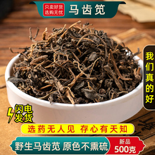 马齿苋材500g干马齿苋马齿苋泡澡无硫磺马齿苋新货干货