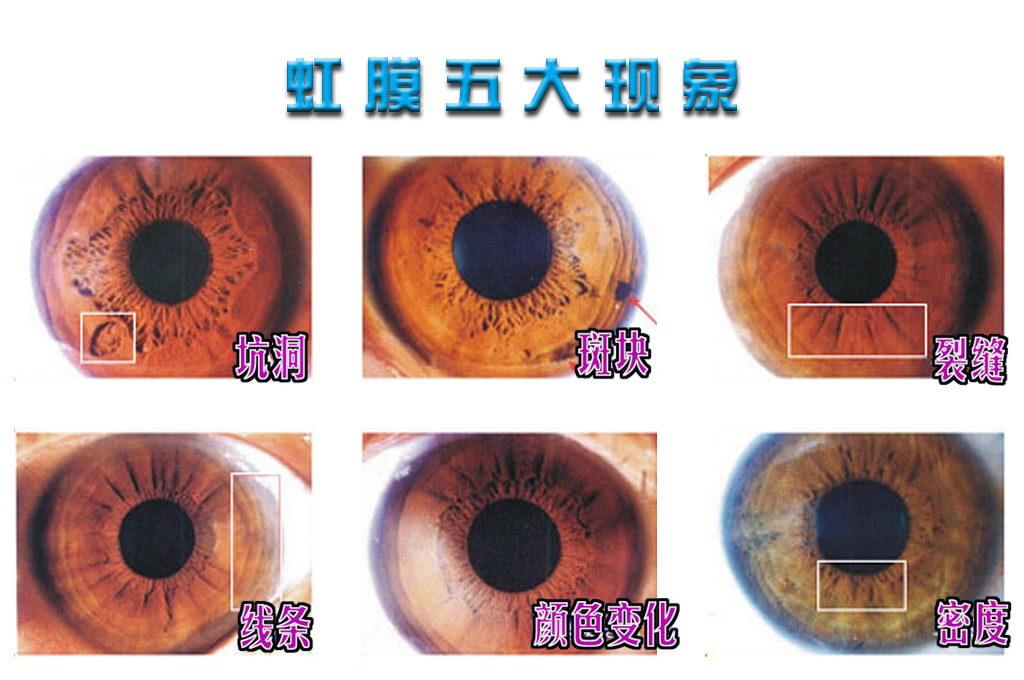 微信图片_20231109091922