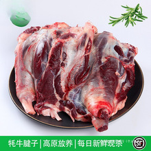 ���ښ�ţ����4�� ����������F����ԭ���r���ţ����ţ��ţչţ��