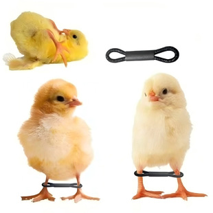 ͨ��С�u�罉�_��  ���u�_�׏���Ƥ���u�_��С�S�u�_��