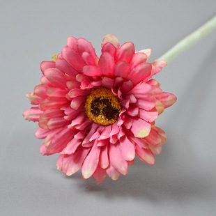 ���滨���޾Ն�֦�Ҿ��b�ֲ�q�U���ʾտ羳���N�ٻ��Ҿӈ@ˇ�廨