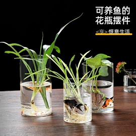 收纳密封罐;水培植物瓶;茶叶罐