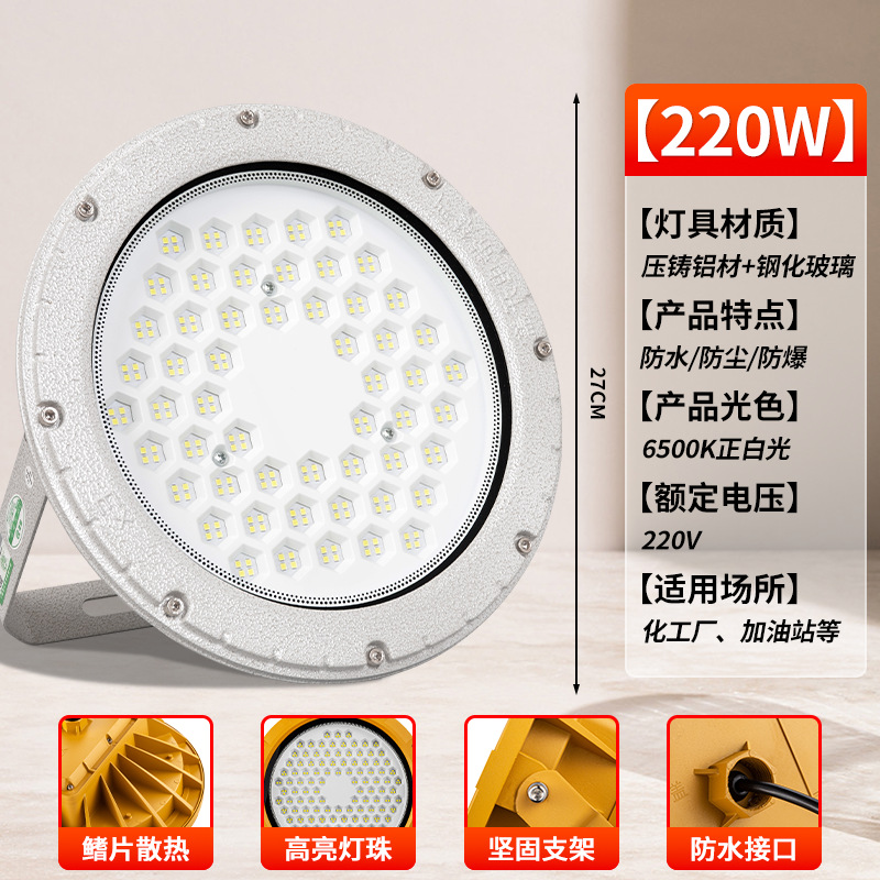 [그레이 라운드 EX 방폭등] 220W