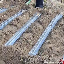 �Nֲ���ϲ������L�l�۷Nֲ��ɽɽș�۷Nu�Ͳ�ģ�����\�����Ϲ�