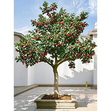 ɽ高ͥԺ¶̨Nֲˮɽ高ϘԵԻ@^