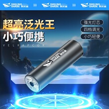 迷你随身小手电四档调节便携式户外手电筒ABS轻巧USB充电手电筒