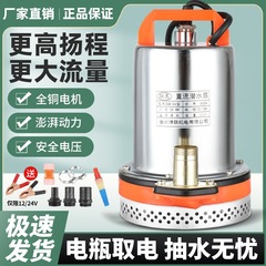 直流潜水ポンプ12V24V48V60V電気自動車純銅ポンプ小型灌漑農業用ポンプ