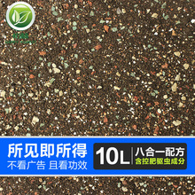 多肉植物营养土泥炭叶插多肉土种植土多肉专用颗粒土纯颗粒铺面石