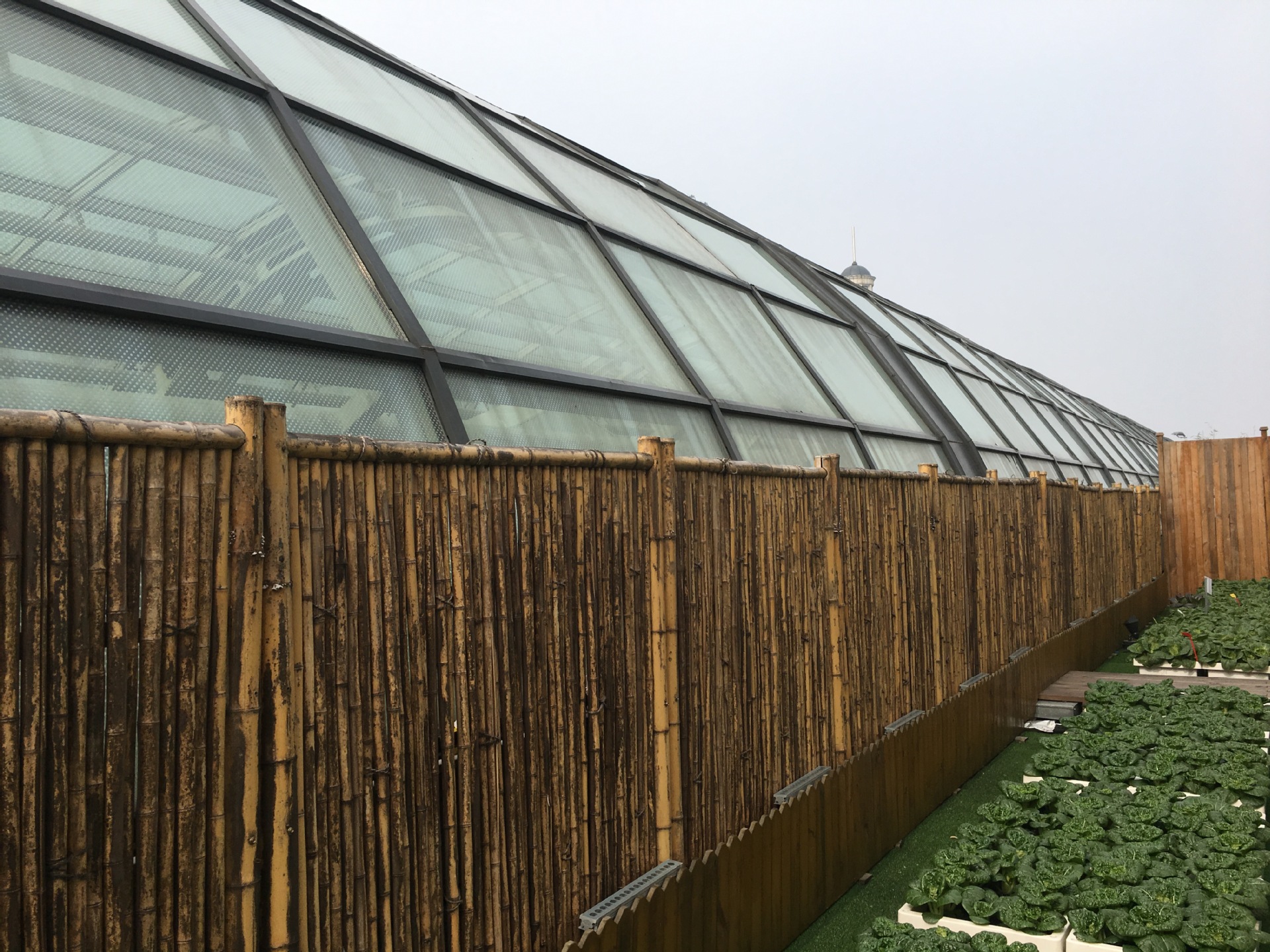 2mmPET板厚度颜色尺寸表面亚光/磨砂/颗粒/光面定做