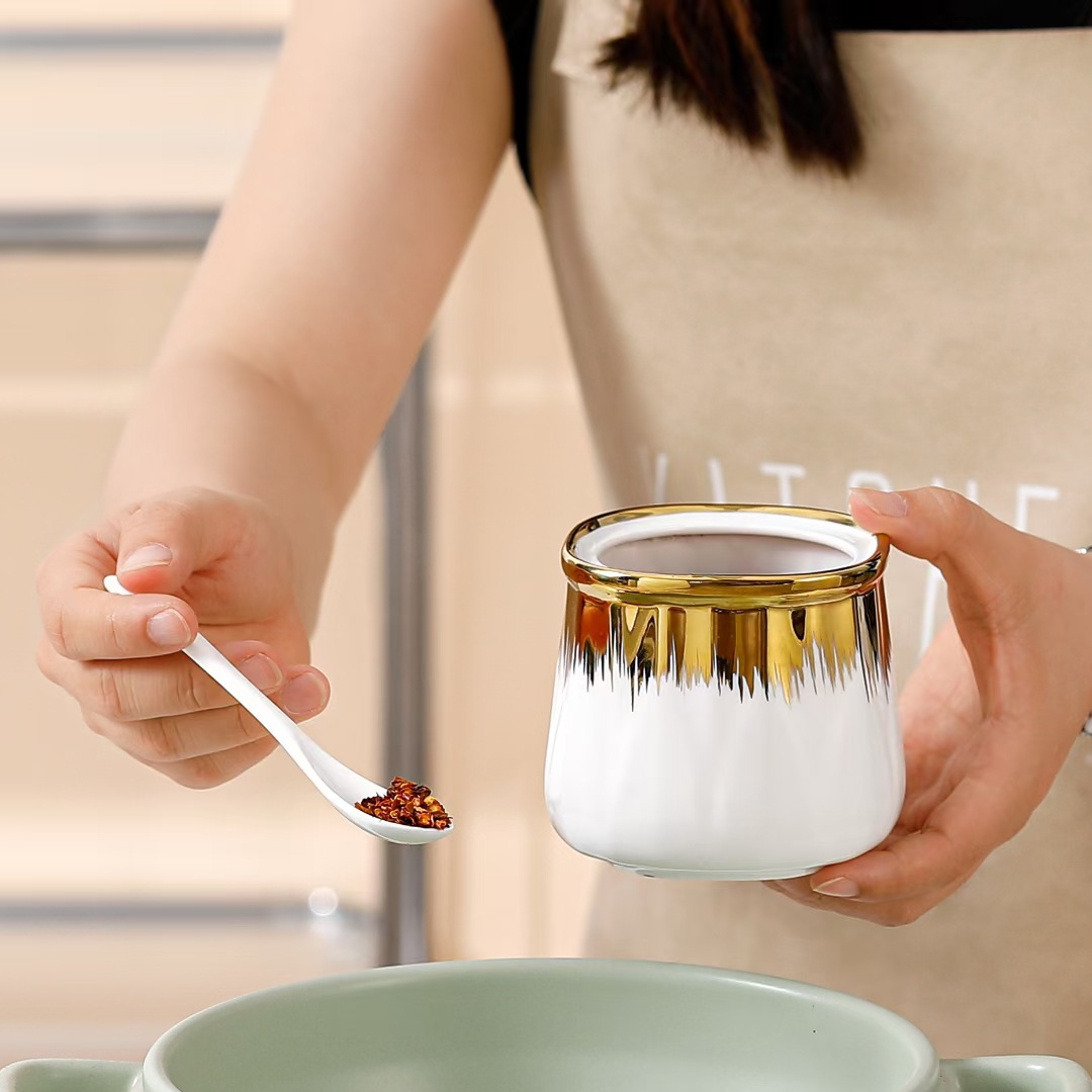 Botella de condimento de cerámica de lujo ligera y creativa botella de condimento de cocina con regalo de mano galvanizado estilo nórdico caja de sal y vinagre personalizada