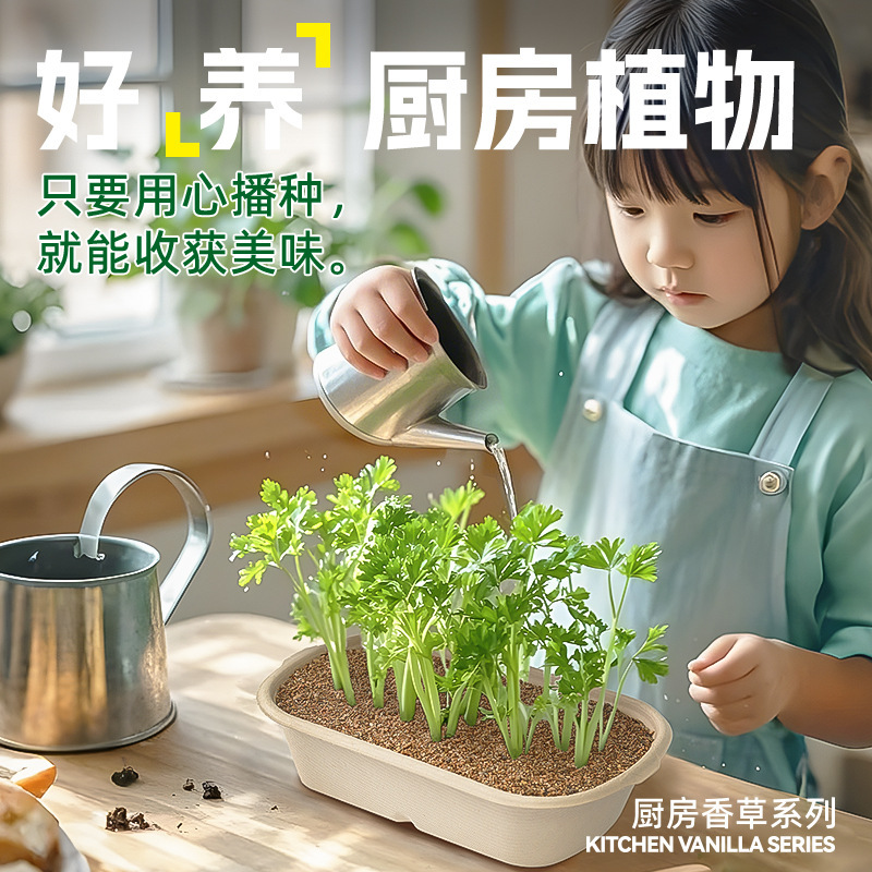Small Flower Farmers Are Good at Raising Kitchen Plants, Kitchen Herb Series, Desktop Plant Gifts, Fragrant Plant Planting Small Flower Farmers Are Good at Raising Kitchen Plants, Kitchen Herb Series, Desktop Plant Gifts, Fragrant Plant Planting