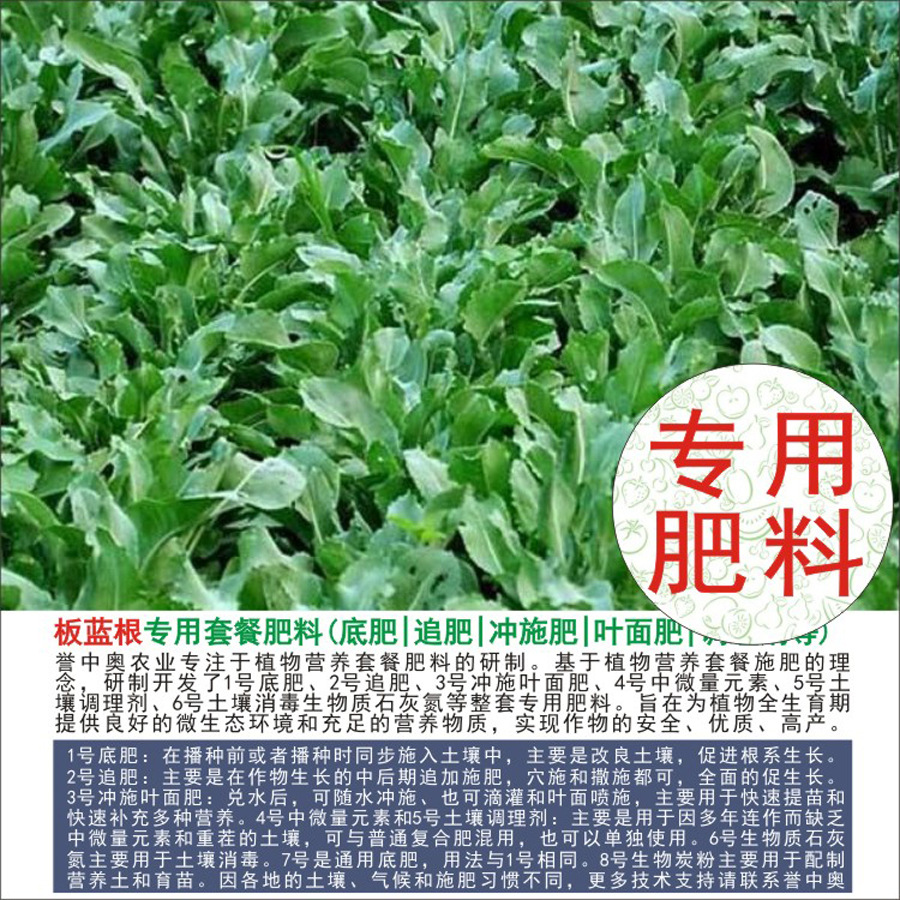 50�����а°�����ר���л��ʸ��Ϸʵ׷�׷��Ҷ��ʳ�ʩ��ˮ�ܷ�