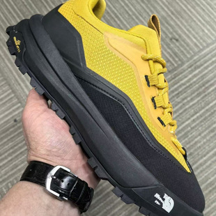 ����Ь��α���TNF ͽ��Ь��Ь�����\���p�����e��ĥ��ɽԽҰ��Ь