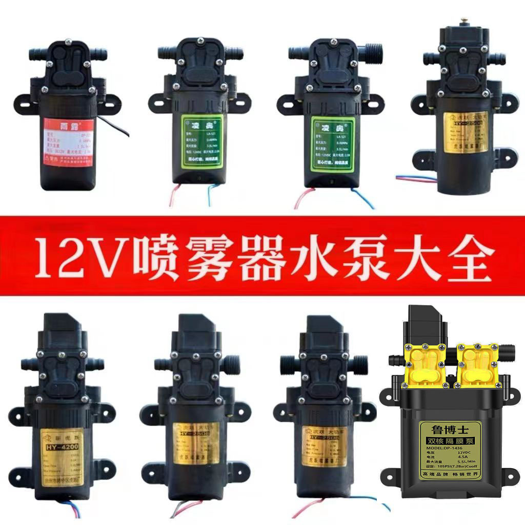 电动喷雾器水泵农用打药机喷雾喷药水泵浇花洗车泵12V喷雾器水泵