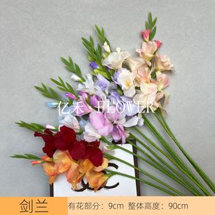 ���愦�m��c�쾰�b߼�����ػ�ˇ�廨��Y�ò����쾰�ٻ�