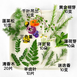 ���r����ѿ����ľ�~���uβ���ļ��Ʒ�決����[�P�b���ɫ������