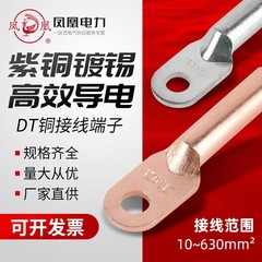 銅ノーズ国家標準銅錫メッキ DT-101625 国家標準 A グレードオイルブロックワイヤーオークルフェニックス銅端子台