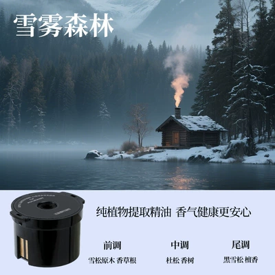 Car Perfume Aromatherapy — Diffuser Automatic Spray Car - snow-mist-forest-replacement-fragrance-bomb