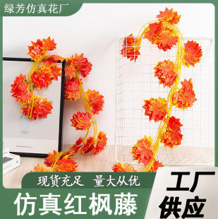 �@ˇ�t���~�����~�ټٻ����f�}���ŵ��ˮ���p�@�b���Ҿ��b��