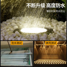 ?LED��ˮ�����ˮ�µ؟��߲���؟�Ͷ���IP68�V���@��12V24V��