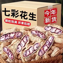 其他滋补;其他药食同源;参类滋补品