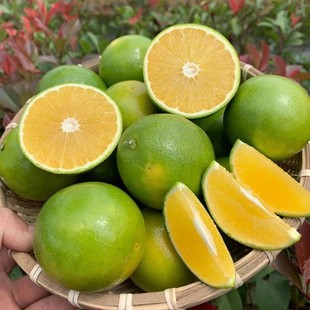 ���պ�����Ƥ����F�ݰl؛��Ƥ�Ȱ��]���rˮ�������һ�����l