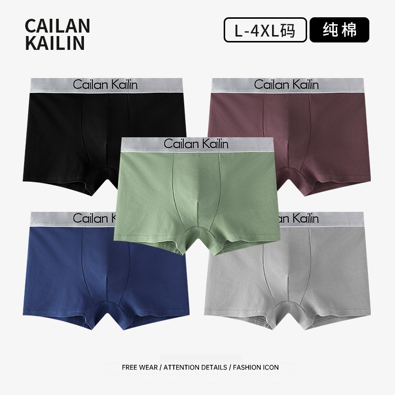 Cailankailin Men's Underwear Pure Cotton Boxer Briefs Antibacterial Breathable Youth Shorts Factory Ready Wholesale