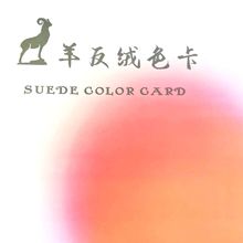 羊反绒真皮羊皮革色卡本翻毛皮色卡册现货 彩鸿皮革羊皮革制作168