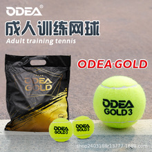 odear歐帝爾網球成人兒童訓練無壓DD3/GOLD訓練網球 整袋初學耐打