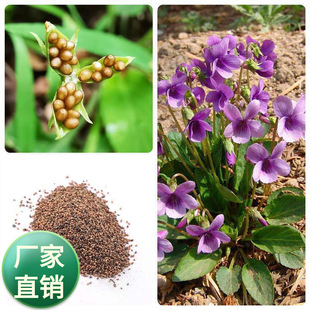 ���l�ݻ��N��Ұ�����^�p�ϻ��ض�ș���ϻ��ض��N���ļ����׻��