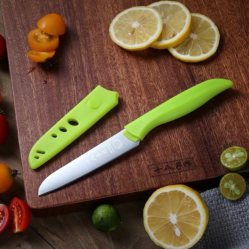 Eighteen Pieces Stainless Steel Multi-functional Fruit Knife with Case for Home Lemon and Fruit Peeling Safety Knife Sheath Small Knife