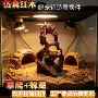 枯木摆件造景