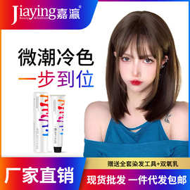 嘉瀛盈彩染发膏无氨植物家用美发产品微潮流行免漂染发剂厂家分销