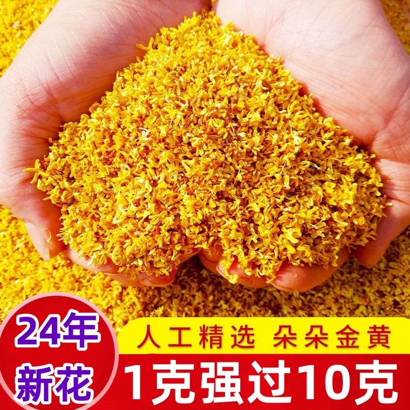 天堂漓江桂林古树金桂花干茶食用烘焙特级茶叶香浓花瓣泡茶罐装