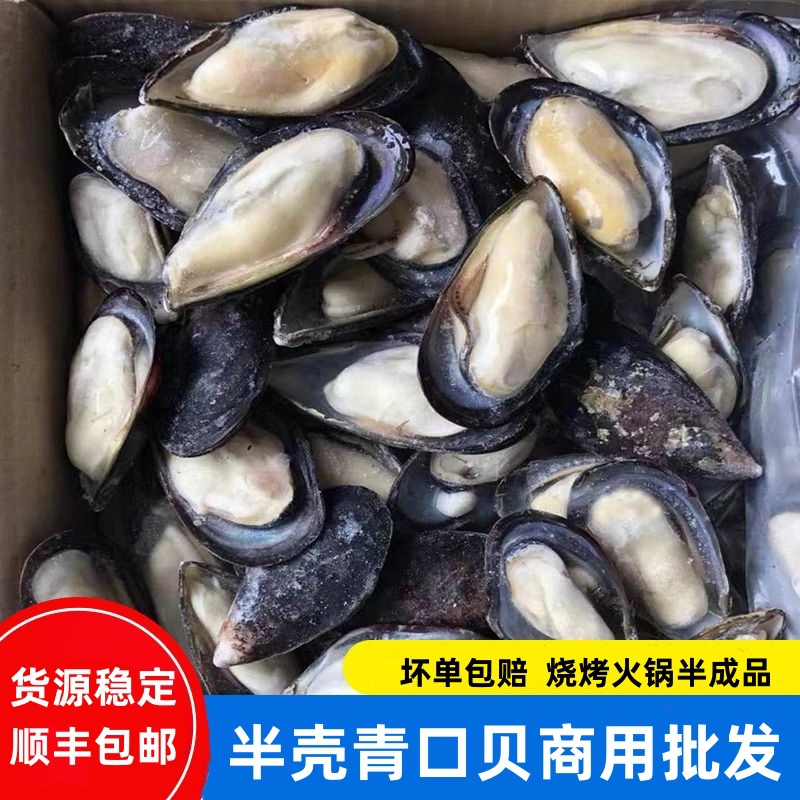 青口贝半壳冷冻蓝口贝黑口贝贻贝淡菜冷冻贝壳类海鲜批发烧烤食材