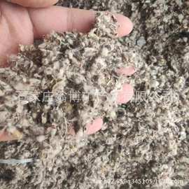 现货棉籽壳 食用培育原料用棉籽壳大棚培育棉籽壳木耳蘑菇用棉籽