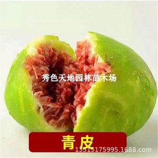 ������Ƥ�o���������ش����ğo�������ͺ����Ա��Ϸ��Nֲ����Y��