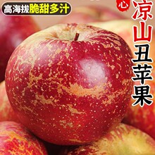 正宗大凉山丑苹果冰糖心苹果新鲜水果当季现摘四川红富士大果整箱