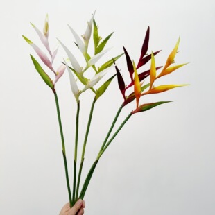 �Ꭷ�����滨 ϐβ�� ֲ����Q�Q���m�ָмҾӲ廨�[���b����