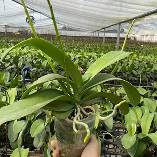 �����m���玧�������Ԏ������ļ����B�͏d�҃��r���҃Ȼ��ܾGֲ��