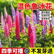 ���N�Ӻû�����ͥԺ���^�����Nֲ���Ե������������ȶ����ܷN��