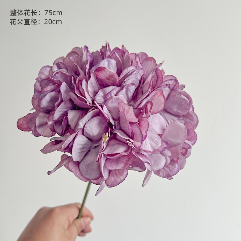 紫色面包绣球.jpg