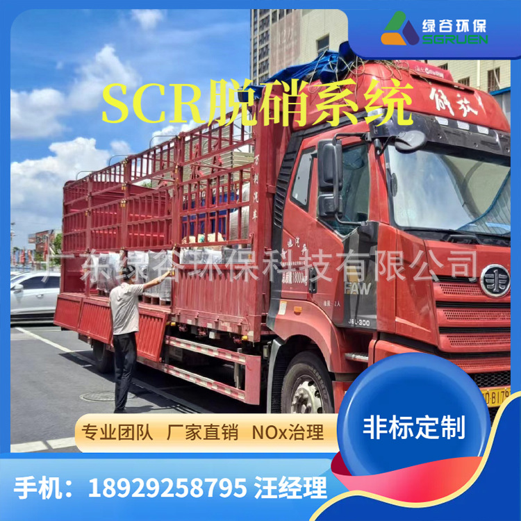  2寸法兰接口脱硝 化肥厂沼气发电机脱硝 沼气电站尾气SCR脱硝 