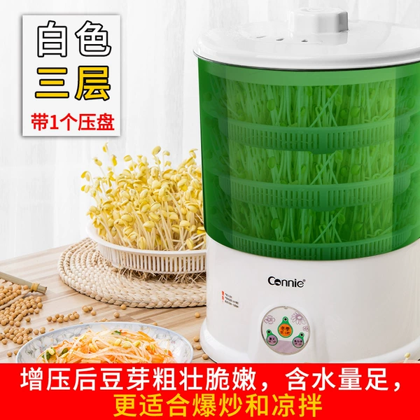 Kangli Automatic White Three -layer with 1 water storage plate